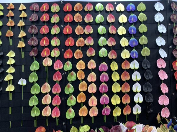 Real Touch Anthurium