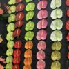 Real Touch Anthurium