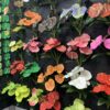 Real Touch Anthurium