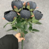 Black Peony
