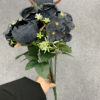 Black Peony