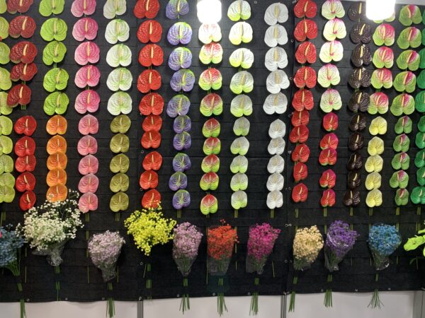 Real Touch Anthurium