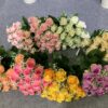 Flower Bunches/Flower Bouquet